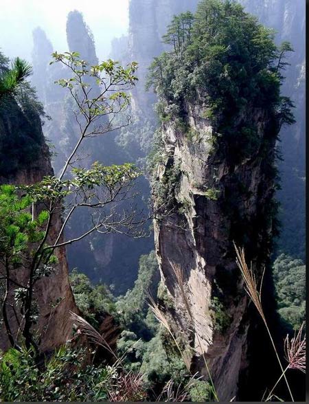 長沙出發(fā)到張家界溶洞奇觀黃龍洞、國家森林公園、袁家界、峰林之王天子山三日游（早班）